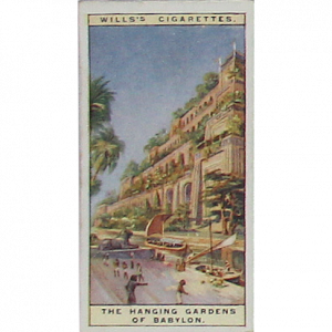 Cigarette Card